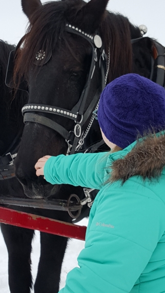 Student petting horse at elk ride