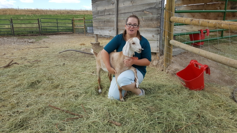 Student helping take care of the goats