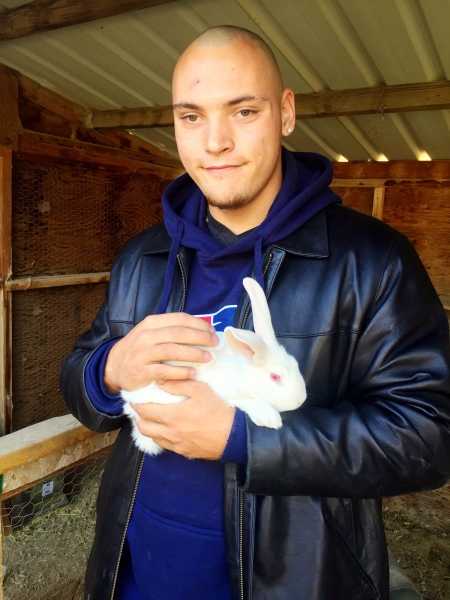 Our students love the bunnies