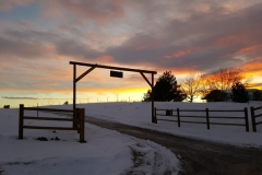 Entrance sunrise