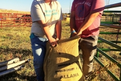 Two students volunteering at Twin Oaks Farms